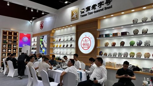 广州秋季茶博会首日盛况 云南云垦茶业展位人气爆棚，展览服务亮点纷呈